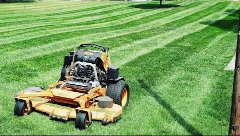 s33 1 e1769538448468