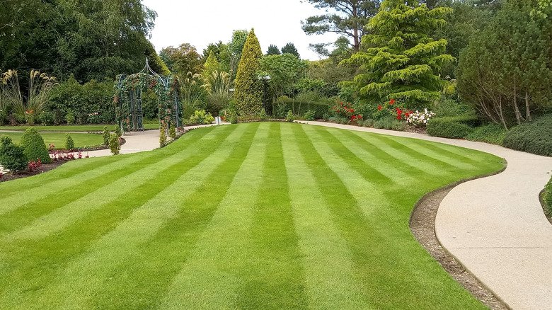 Leons Landscape Lawn Care Service Lake Oswego s2 15