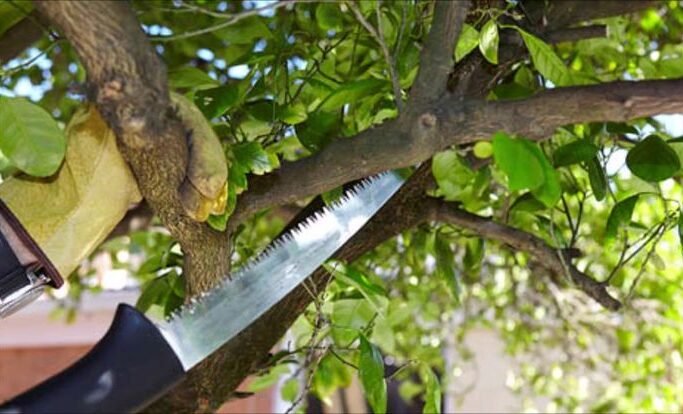 s2 23 e1771951469333