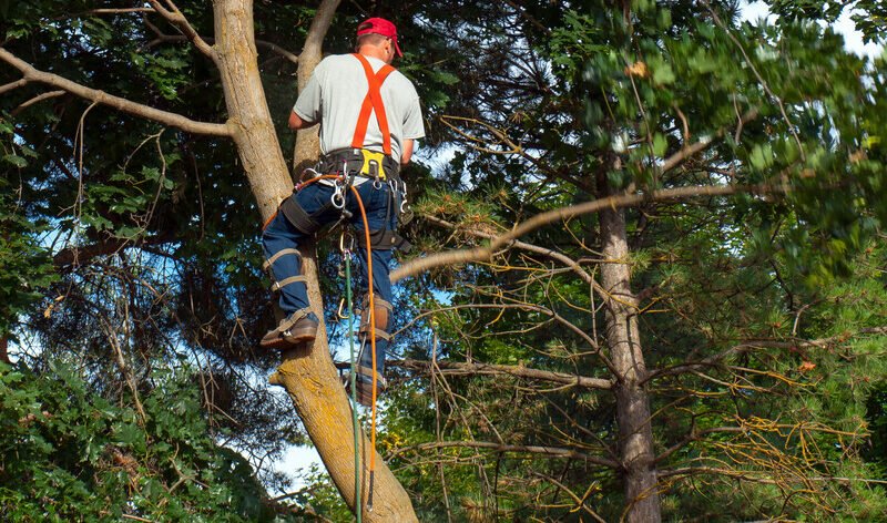 s1 13 e1772827666142