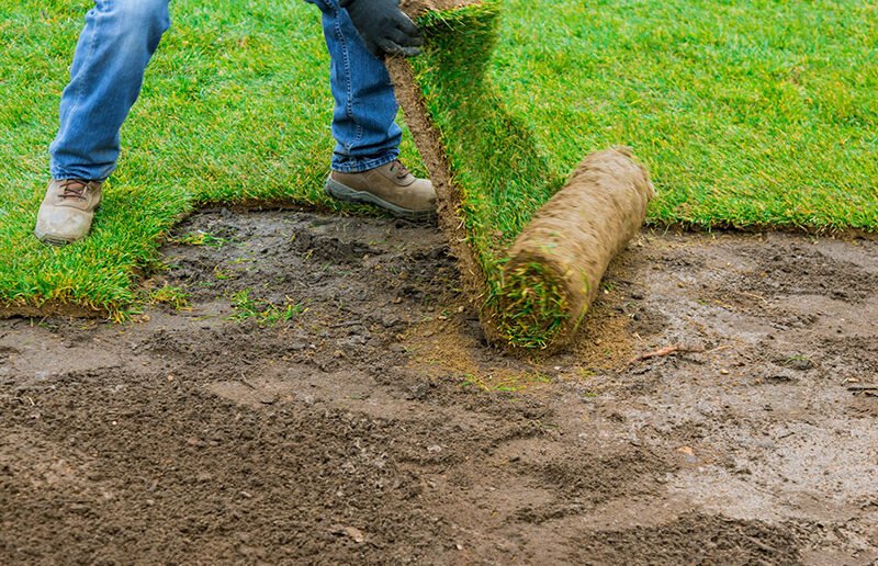 s1 15 e1772833381916