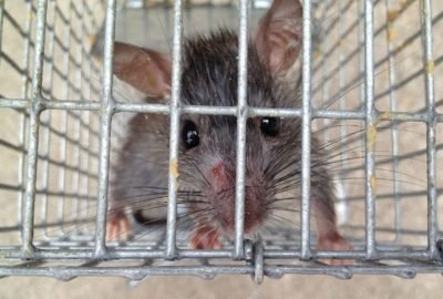 1 12 rfq8sc87o32fwqf9zgzhi88emm1si22k7osei3tv9o