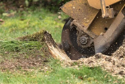 SER2 Lake Mary rfj9oml570dsp13zk08e3d9popn2hf1g19m6jb3n2k