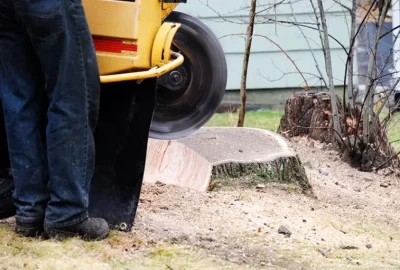 Ser1 1 rfj5eg466bbmbn2cuv0elrwtwfkmwpygi5bzodpdos