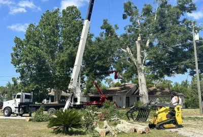 Ser3 rfj3t152pmq354gr4jjssri7m4khqb0plyr9cwu3rg