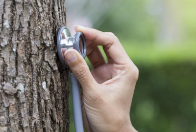 Ser3 rfj7ctb7stndgquqyrzyrio2tuqu50b2ifhk13ddvw