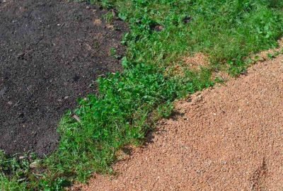 Outdoor shot of the soil, growing grass and sand