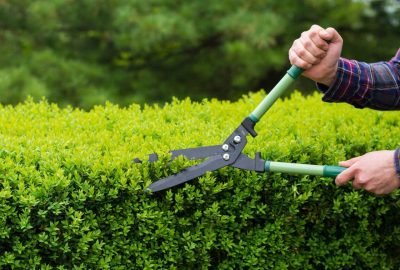 download - 2025-10-30T013140.407