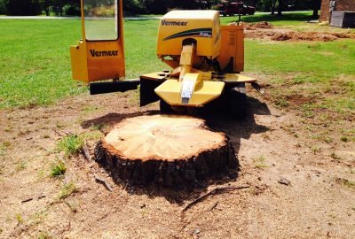 download - 2025-11-21T202709.868