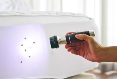 download - 2025-12-01T225819.151