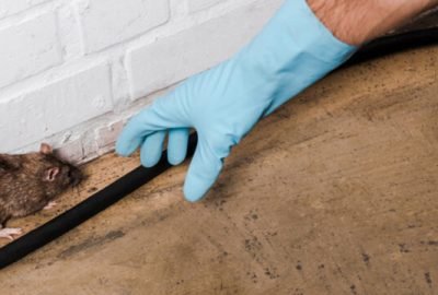 download - 2025-12-02T232854.630