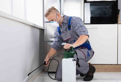 download - 2025-12-03T194209.906