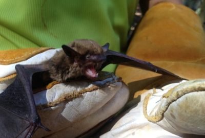 s1 2 rfs1809pnainlgz6r5sntv9q0opa7ozp4z7wiwfnv0