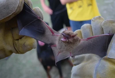 s3 3 rfs18ql6yniomjwyhh67rommnh3k77w6klhhyncn0s