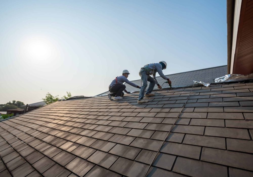 shutterstock_2423236171-1-scaled